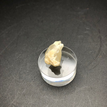 A rough, translucent calcite crystal from The Crystalary's collection, sourced from the Corydon Stone Co. Quarry in Harrison County, Indiana, is displayed on a clear round stand against a dark background. This enchanting cream-colored piece features irregular edges and a soft pale yellow hue, elegantly reflecting light.