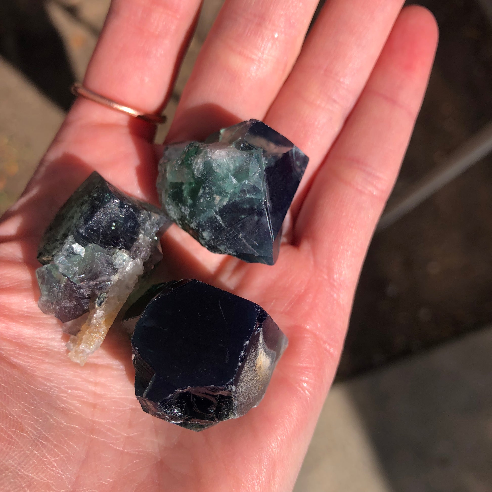 A hand holding three raw fluorite crystals from The Crystalary, their deep purple and green hues gleaming in the sunlight. These natural beauties, sourced from the Diana Maria Mine in Frosterly Weardale Co., Durham, England, exhibit a rough texture with geometric shapes reminiscent of distinct fluorite cubes.