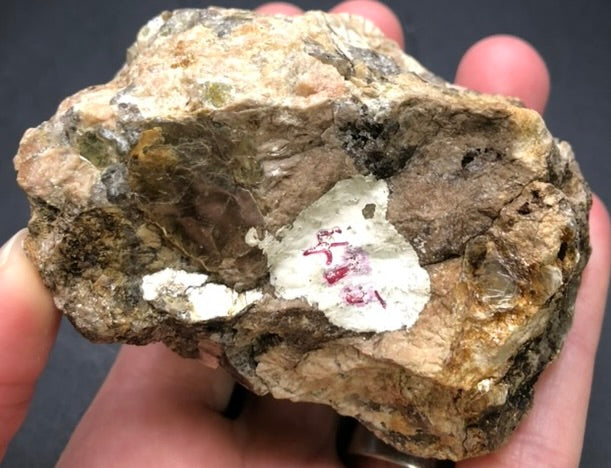 A hand holding a rough piece of Wilsonite, an altered Scapolite from Canada, showcasing a blend of gray, brown, and white surfaces. Subtle glimmers of Scapolite are visible amid the texture, with red marker or ink smeared on the white section. Product offered by The Crystalary under the name AUCTION- Wilsonite, altred Scapolite- Canada.