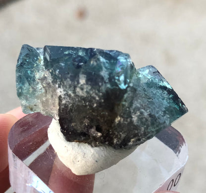 A close-up of a jagged-edged greenish-blue AUCTION- Fluorite crystal from the Diana Maria Mine in Frosterley, Weardale, County Durham, England, is showcased. Mounted on a white base and held by a person's fingers, this daylight color-changing stone from The Crystalary displays its texture and color variations beautifully against the blurred background.