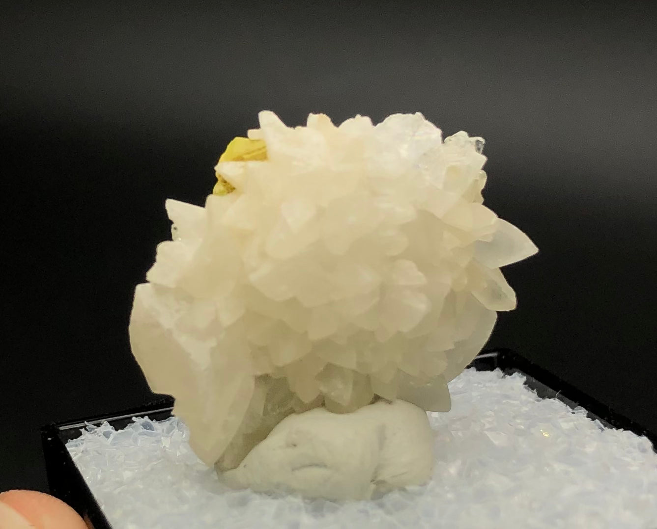 On display is a jagged and spiky cluster of calcite crystals sourced from Maybee Quarry, part of The Crystalary's AUCTION collection. Set against a black background with small white pebbles, the crystals feature a subtle hint of yellowish sulfur on top.