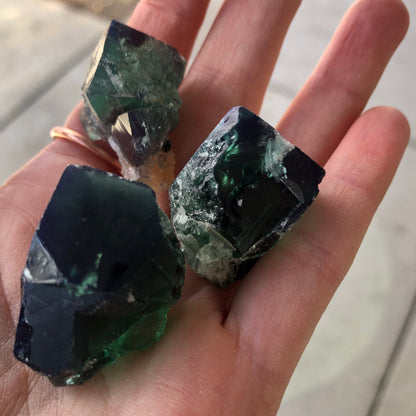 A hand holds three vibrant, deep green fluorite crystals characterized by angular shapes and natural textures. These crystals, from The Crystalary's AUCTION collection sourced from the Diana Maria Mine in Frosterly Weardale Co., Durham, England, feature dark edges and semi-transparent sections that beautifully reflect light. In the background is a softly blurred, neutral-colored surface.