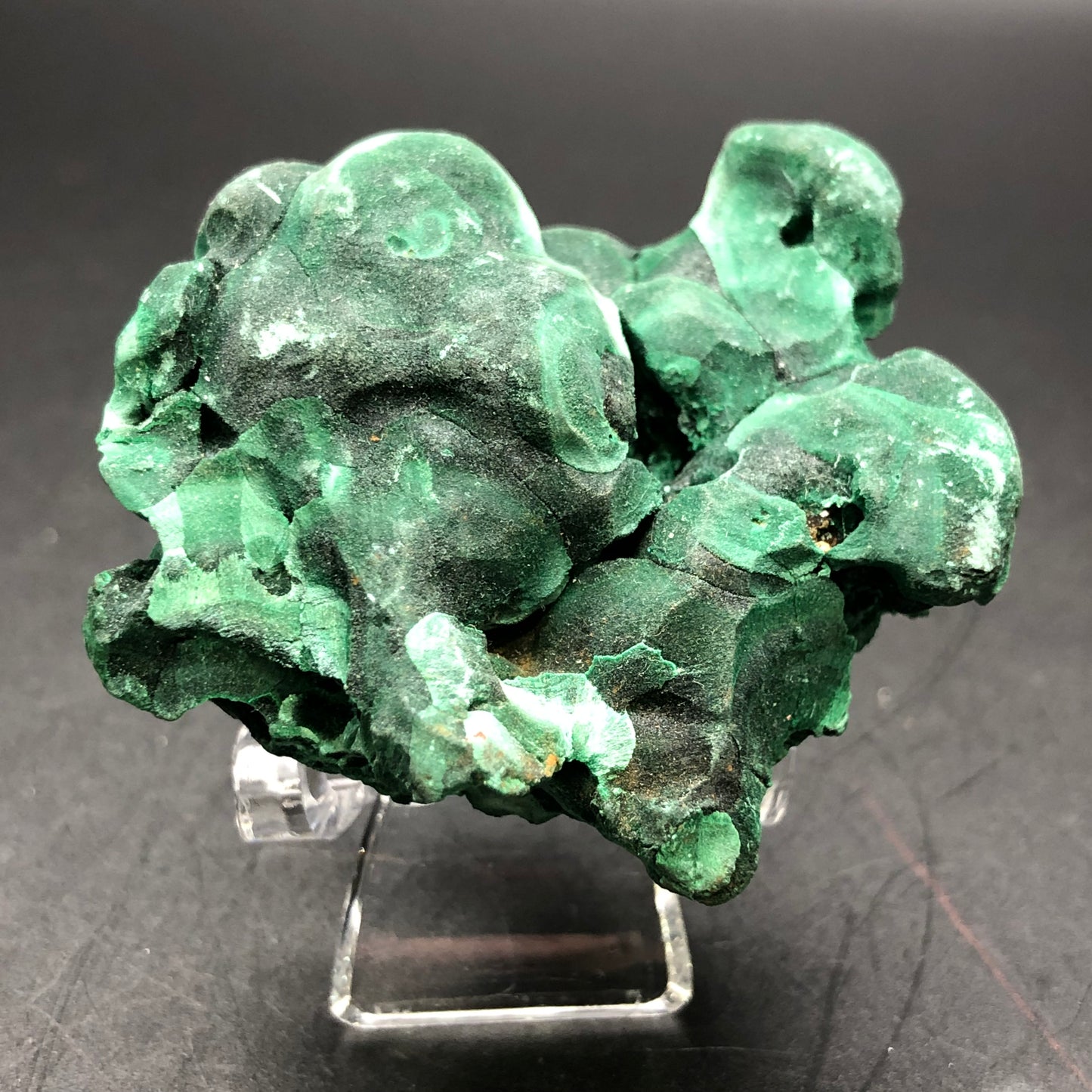 A vivid raw malachite specimen with intricate, deep green patterns from the Liufengshan Mine in the Guichi District of Chizhou, Anhui, China is elegantly displayed on a clear stand against a dark backdrop. This exquisite piece is featured in The Crystalary's AUCTION collection.