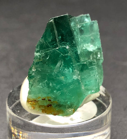 AUCTION- Fluorite- 50 Year Pocket, Rogerly Quarry, Stanhope, County Durham, England