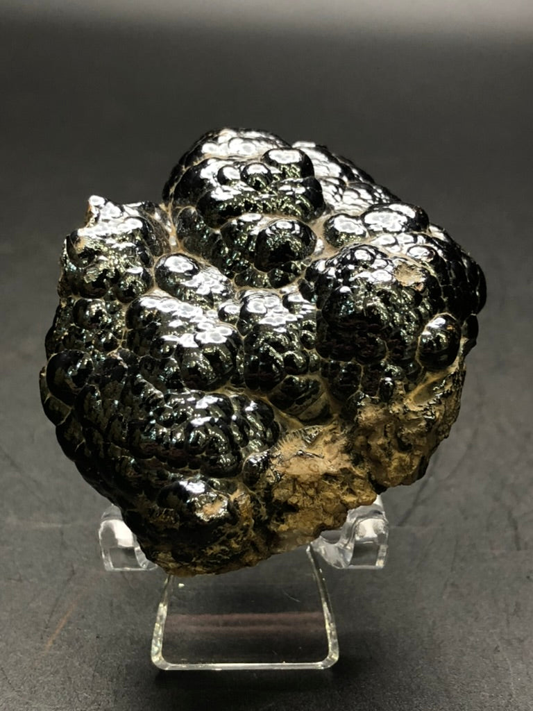 AUCTION- Hematite, var. Botryoidal- Luis Lopez Manganese District, Socorro Co., New Mexico, USA