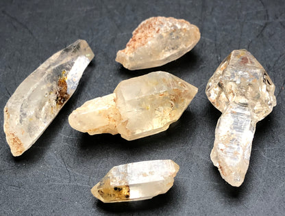 The Crystalary presents "AUCTION-Petroleum Quartz-Afghanistan": a set of six translucent quartz crystals with some unique scepter shapes and UV reactions. Displayed on a dark background, these crystals have earthy inclusions, hints of brown, and include a rare piece of Petroleum Quartz.