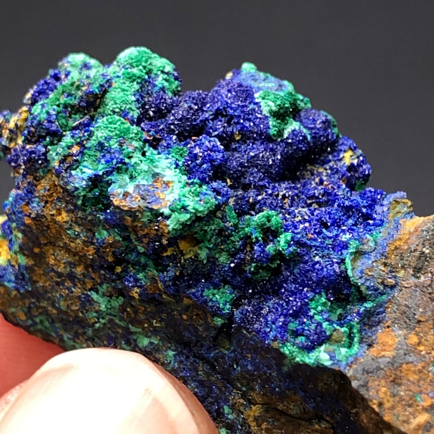 Discover "Azurite Malachite" from The Crystalary, showcasing vivid blue druzy azurite and green malachite crystals on a rough brown matrix. This stunning specimen is reminiscent of Bisbee's rich deposits, striking against a dark background. Available at auction now!.