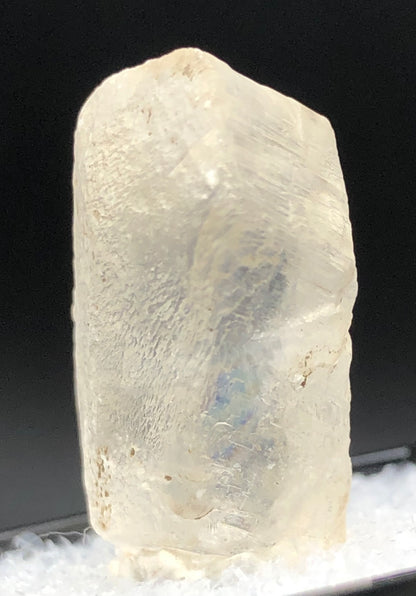 A detailed view of the AUCTION- Selenite from Willow Creek, Nanton, Alberta, Canada by The Crystalary showcases its transparent rhombic form with a rough texture. It stands upright on a white surface set against a dark background, revealing subtle internal reflections and slight imperfections.