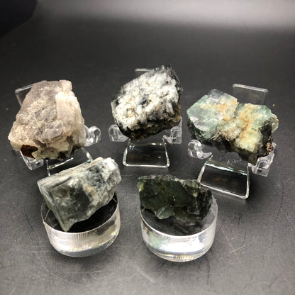 Displayed against a dark background, the set includes five raw mineral specimens from The Crystalary, featuring vibrant fluorite cubes from the Lady Annabella Mine in Co. Durham, England. These minerals showcase a range of colors and textures with shades of white, green, and blue alongside intricate patterns and rough surfaces, all elegantly presented on clear stands.