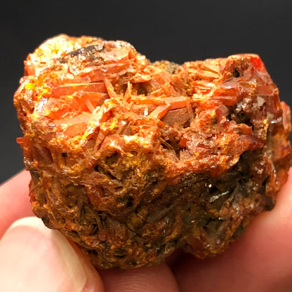 AUCTION- Crocoite- West Comet Mine, Dundas, Tasmania