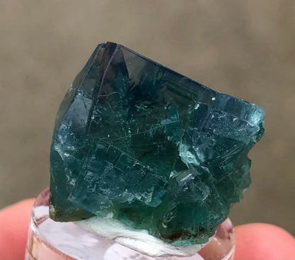 AUCTION- Fluorite- 50 Year Pocket, Rogerly Quarry, Stanhope, County Durham, England