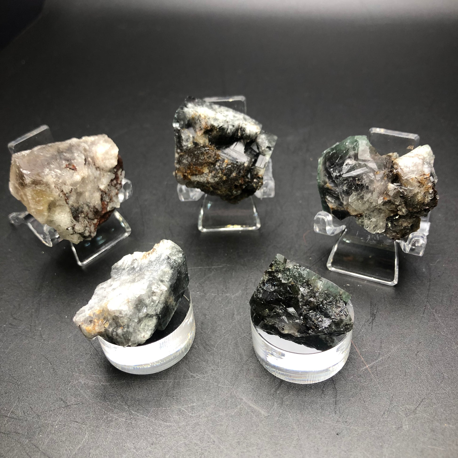 Five rough Fluorite specimens from the Lady Annabella Mine, offered by The Crystalary, are showcased on clear stands against a black backdrop. They display a range of textures and colors, from light gray to dark green with hints of white, reminiscent of fluorite cubes with captivating color variations.