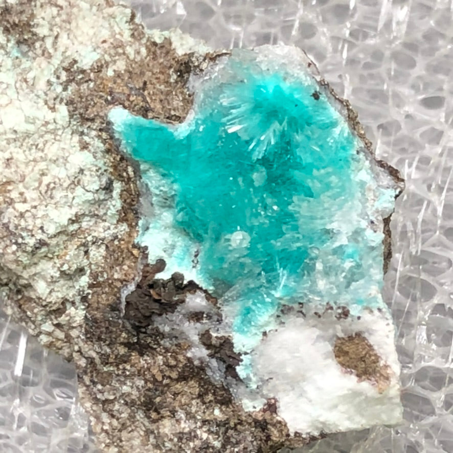 AUCTION- Aurichalcite, Hemimorphite- 79 Mine, Gila County, Arizona, USA