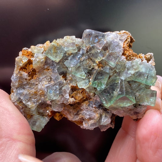 Close-up of hands holding a specimen of Fluorite from The Crystalary's Northern Lights Pocket, sourced from the Diana Maria Mine in Co. Durham, England, featuring light green translucent cubic crystals embedded in a reddish-brown matrix. The crystals catch the light, showcasing their geometric shapes and clear texture against the darker background.