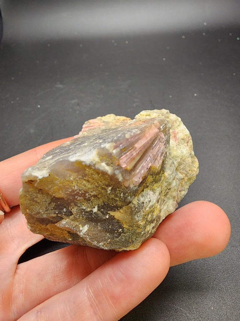 A hand displays a rough specimen from The Crystalary's Lazlo Dudas Collection, featuring the AUCTION- Elbaite var. Rubellite from Dobra Voda, Velke Mezirici, Moravia, Czech Republic. This piece boasts brown, yellow, and gray hues with an eye-catching section of red and pink striations set against a dark backdrop.