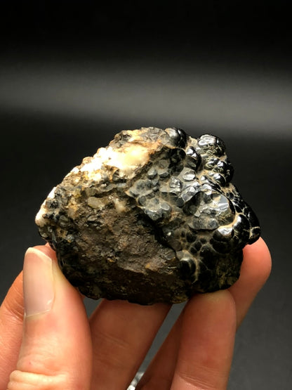 AUCTION- Hematite, var. Botryoidal- Luis Lopez Manganese District, Socorro Co., New Mexico, USA