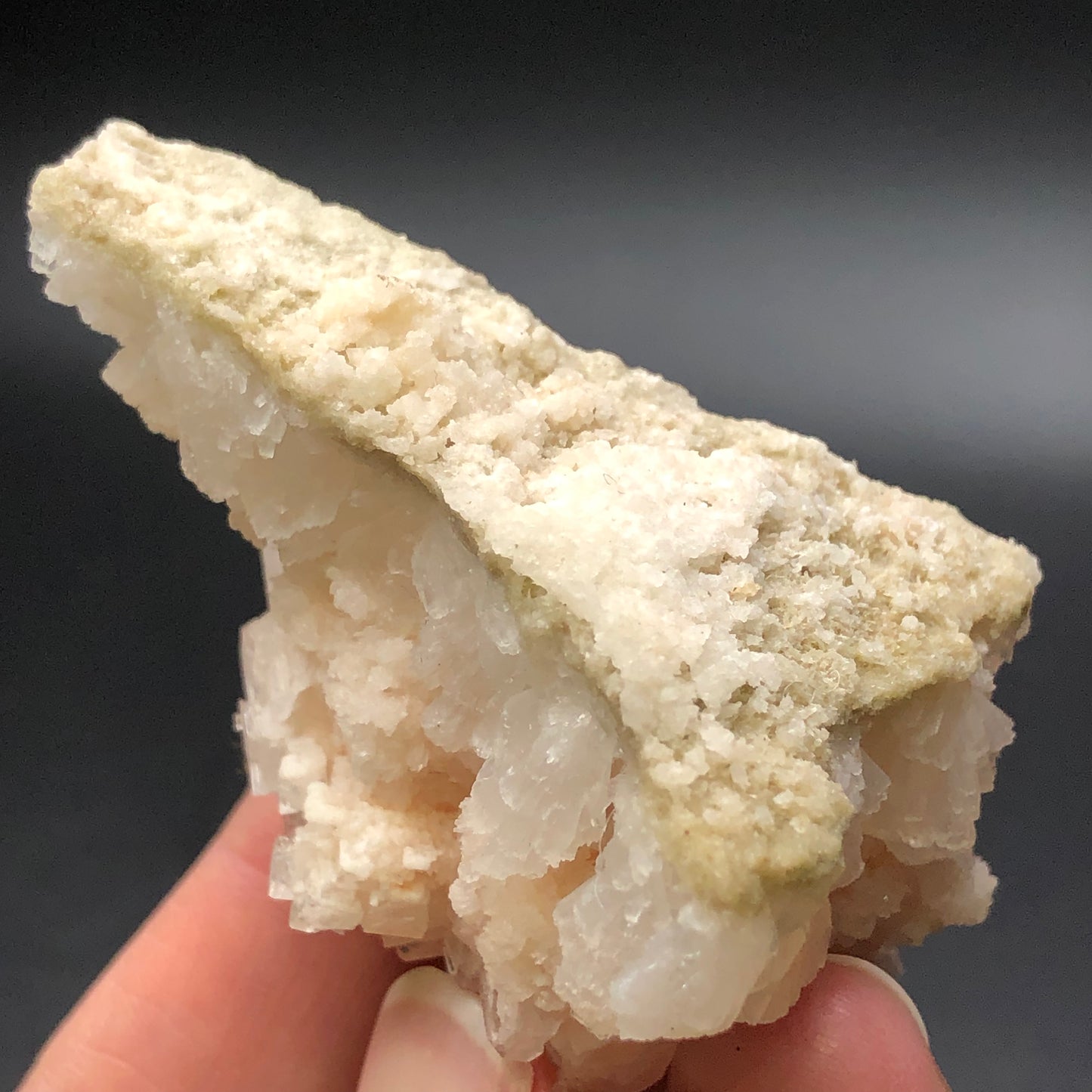 A person holding a rough, translucent specimen of "AUCTION- Halite- unk locality" from The Crystalary. The light beige to white mineral features an uneven, crystalline texture with isometrically formed halite crystals, contrasting against a dark backdrop.