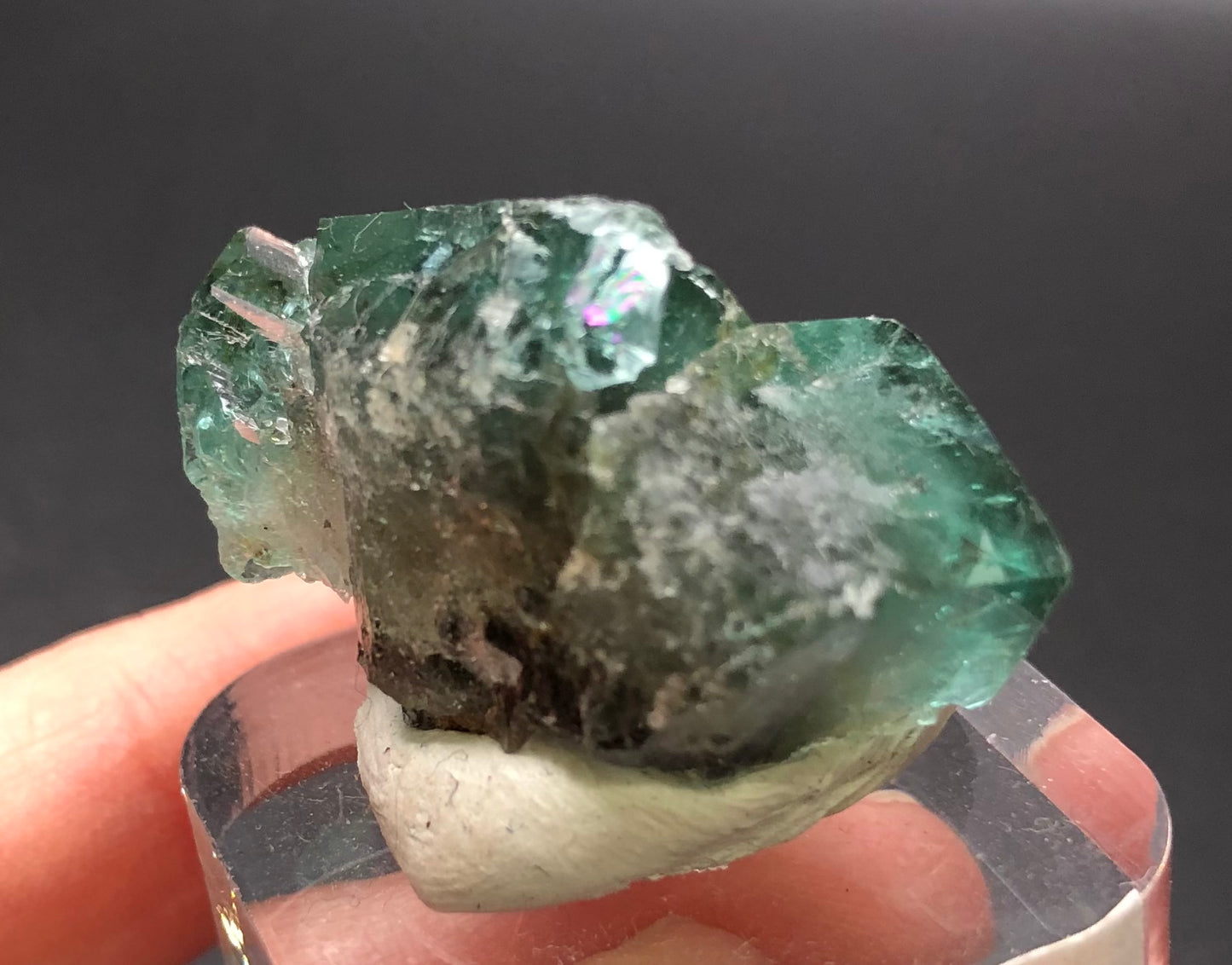 A close-up showcases the jagged edges of The Crystalary's AUCTION- Fluorite from the Diana Maria Mine in Frosterley, Weardale, County Durham, England. Resting on a small display stand, its glassy texture beautifully reflects light. As it is gently held between fingers against a dark background, its dazzling daylight color-changing properties are revealed.