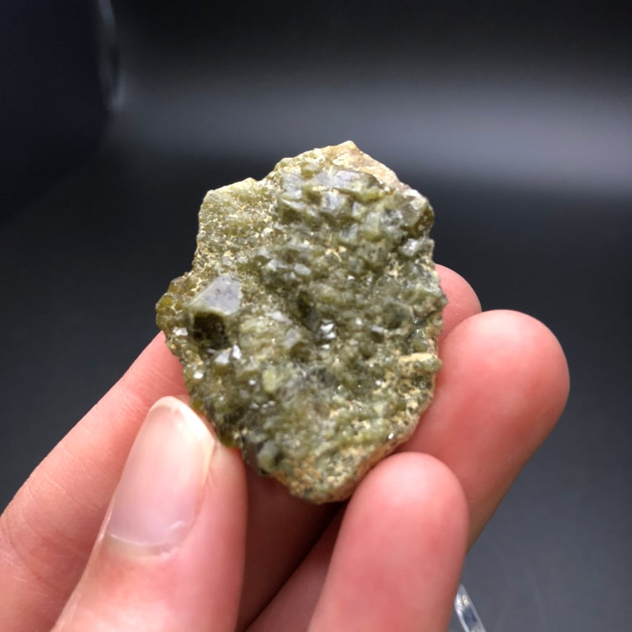 A close-up of a hand holding a textured, green mineral rock, from Tubissis in Erongo, Namibia, showcases visible crystal formations against a dark background. This auctioned specimen by The Crystalary is reminiscent of Dermantoid Garnet with its unique surface and irregular shape.