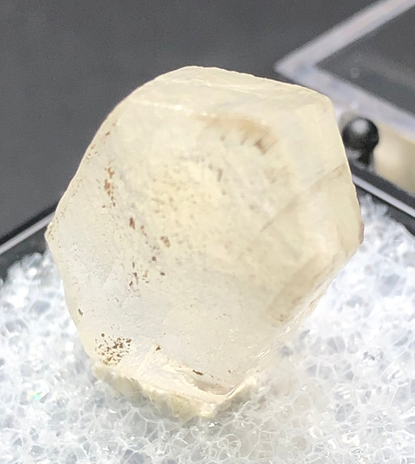 A detailed view of the AUCTION- Selenite crystal from Willow Creek, Nanton, Alberta, Canada, by The Crystalary showcases its light hue and glassy transparency atop a bed of small transparent beads. It features slight translucence with textured surfaces and natural imperfections.