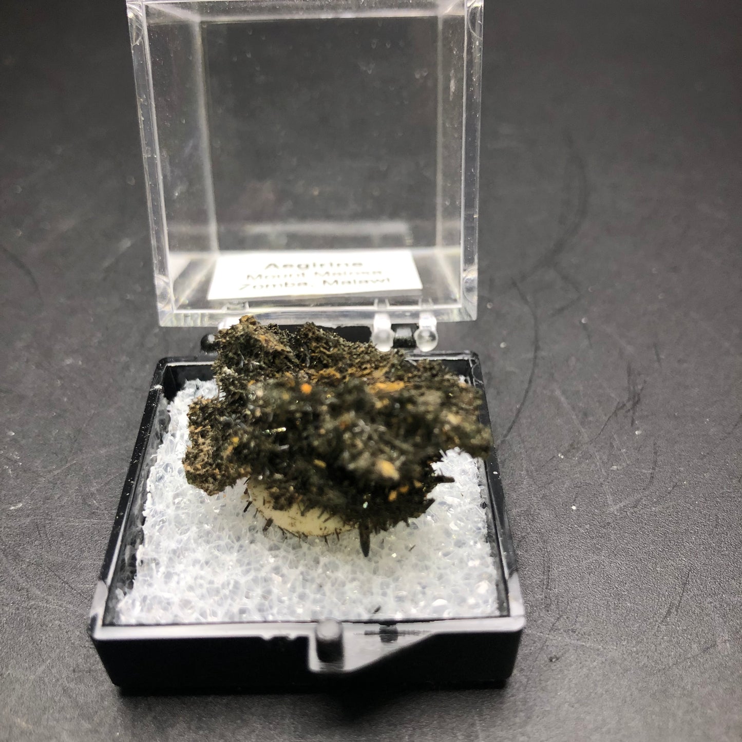 A dark, rough-textured Aegirine mineral sample from Mount Malosa, Zomba, Malawi, is showcased in a small, open plastic case with a white cushion. It has a dark green to black appearance and is set against a plain, black surface. This product is offered by The Crystalary under the name AUCTION- Aegirine- Mount Malosa, Zomba, Malawi.