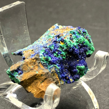 This vibrant mineral specimen, offered by The Crystalary, features deep blue druzy azurite and green malachite crystalline formations from Bisbee, Arizona. Set on a clear stand with a rough brown base, its rich colors stand out beautifully against the dark backdrop.