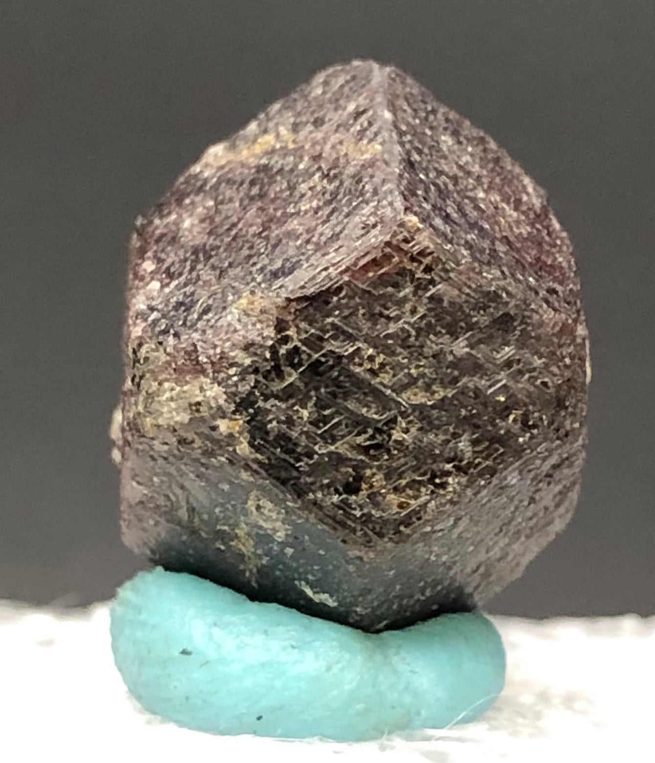 AUCTION- Garnet var Andradite- Green's Farm, Roxbury, Connecticut, USA