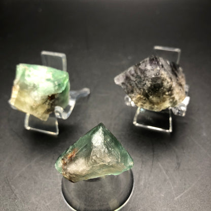 Displayed on clear stands against a dark background are three rough fluorite crystals from The Crystalary, sourced from the Lady Anabella Mine in Eastgate Quarry, County Durham. These partial cubes vary in shades of green and purple, featuring natural and uneven surfaces that catch light beautifully, highlighting their translucency and color variations.