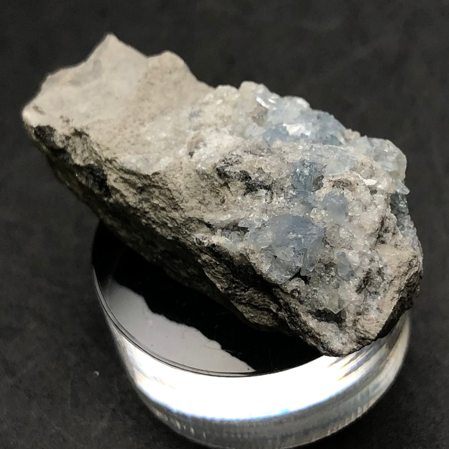 A piece of AUCTION- Celestine from Meckley's Quarry, Mandata, Northumberland County, Pennsylvania, USA by The Crystalary sits on a transparent circular platform against a dark background. The gray rock showcases light blue crystalline formations with a rough texture that contrasts beautifully with the smooth crystals.