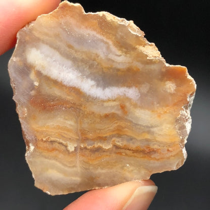 AUCTION- FLAT: 4th of July Agate- Fourth of July Peak (Fourth of July Butte), Hassayampa, Maricopa County, Arizona, USA