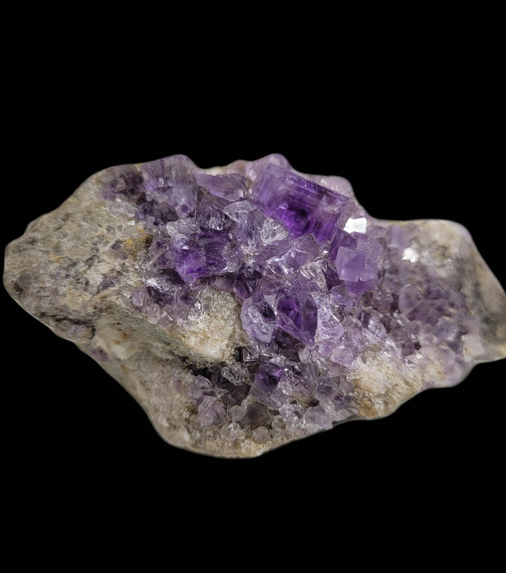 The Crystalary's Fluorite from Berbes, Ribadesella, Asturias, Spain (SKU 813) emerges stunningly from its rough gray base. Against a black background, the vivid crystals vary in size to showcase their natural beauty.