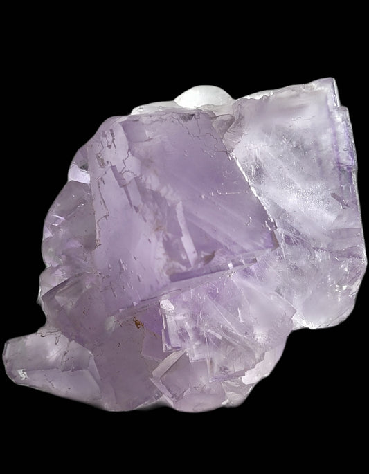 Set against a black background, The Crystalary's Fluorite from Berbes displays translucent purple cubic formations with slight cracks revealing light purple hues. (sku 811).