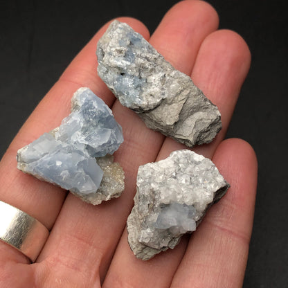 In the foreground, a hand showcases three rough mineral specimens, featuring miniatures of Celestine with light blue and white crystals. This striking display stands against a dark background and evokes the allure of treasures from The Crystalary's AUCTION- Celestine collection at Meckley's Quarry in Mandata, Northumberland County, Pennsylvania, USA.