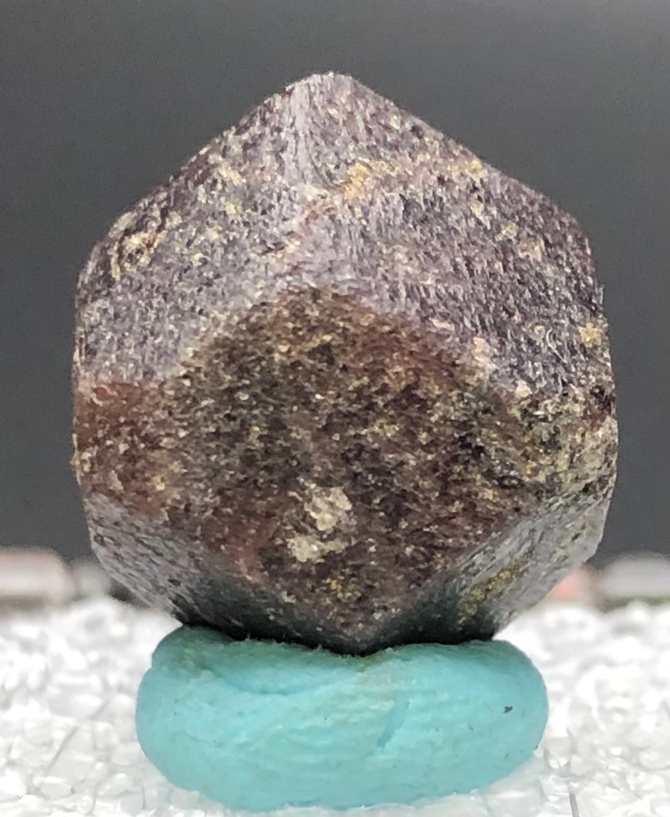 AUCTION- Garnet var Andradite- Green's Farm, Roxbury, Connecticut, USA