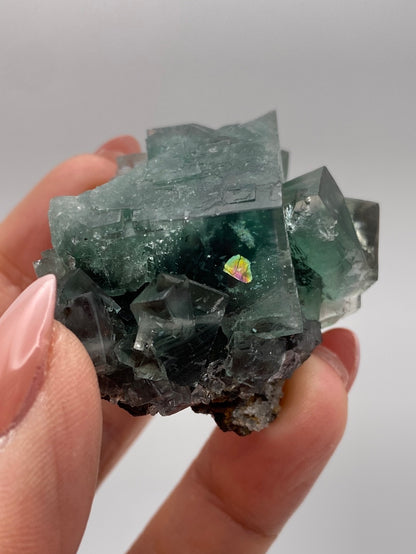 Fluorite- Rainbow's End Pocket, Lady Annabella, Co Durham, UK