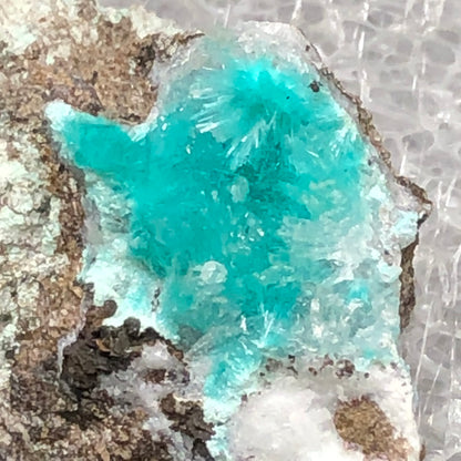 AUCTION- Aurichalcite, Hemimorphite- 79 Mine, Gila County, Arizona, USA