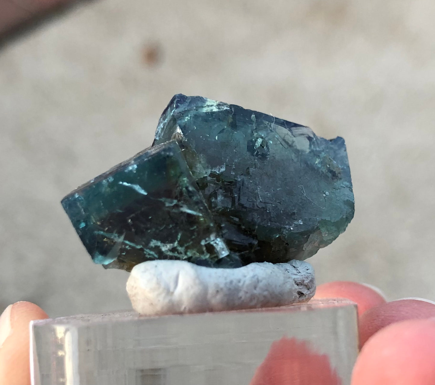 A close-up showcases a person holding a dark green and blue crystal formation from the Diana Maria Mine, identified as "AUCTION- Fluorite- Diana Maria Mine, Frosterley, Weardale, County Durham, England" by The Crystalary. The crystal is mounted on a small clay base against a blurred background that highlights its intricate details and allows its colors to shift beautifully with changing daylight hues.