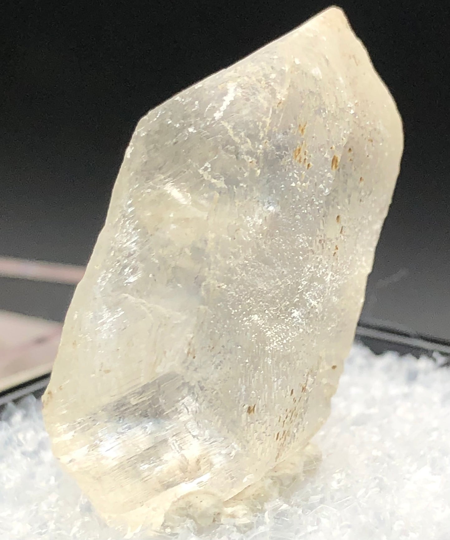 The Crystalary offers an auction for a clear, pale yellow Selenite crystal from Willow Creek, Nanton, Alberta, Canada. This stunning piece features glassy transparency and a rough, translucent surface. It stands upright in its rhombic shape on a base of white fibrous material against a dark background.