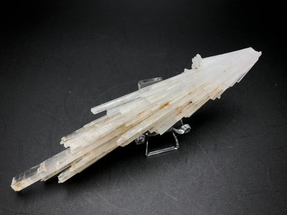 A collection of long, thin, translucent white Scolecite crystals with a vitreous structure from The Crystalary's AUCTION series is elegantly fanned out and showcased on a clear stand against a dark background.