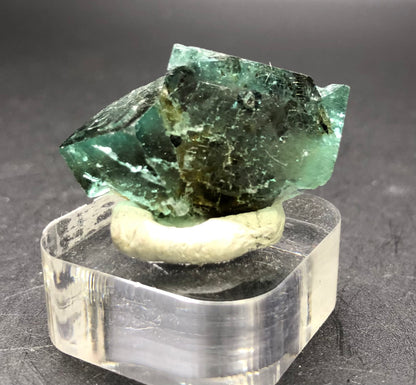 A stunning specimen from The Crystalary, the AUCTION- Fluorite from Diana Maria Mine, Frosterley, Weardale, County Durham, England, rests elegantly on a clear acrylic stand against a dark backdrop. This translucent blue-green gem boasts rough edges and irregular surfaces that enchant with their captivating daylight color-changing properties.