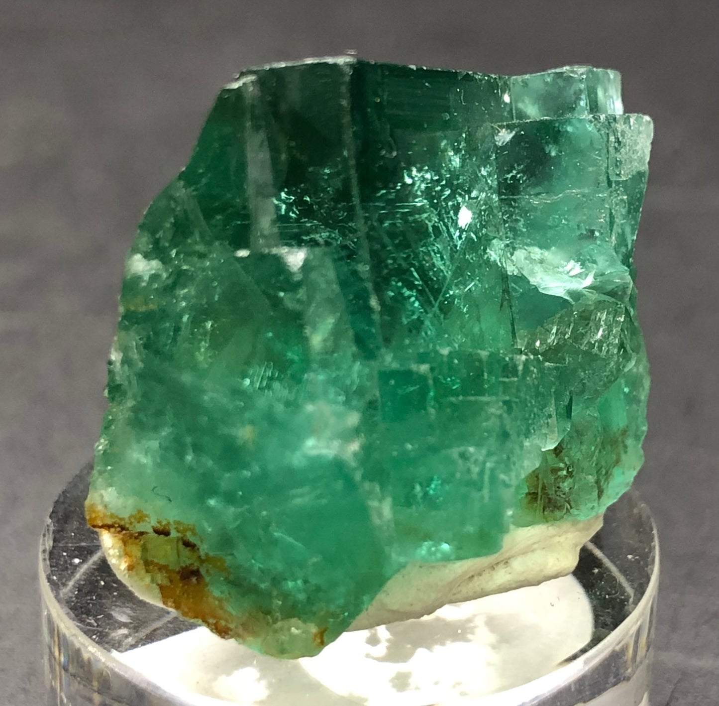 AUCTION- Fluorite- 50 Year Pocket, Rogerly Quarry, Stanhope, County Durham, England