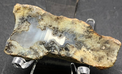 AUCTION- Moss Agate- unk locality