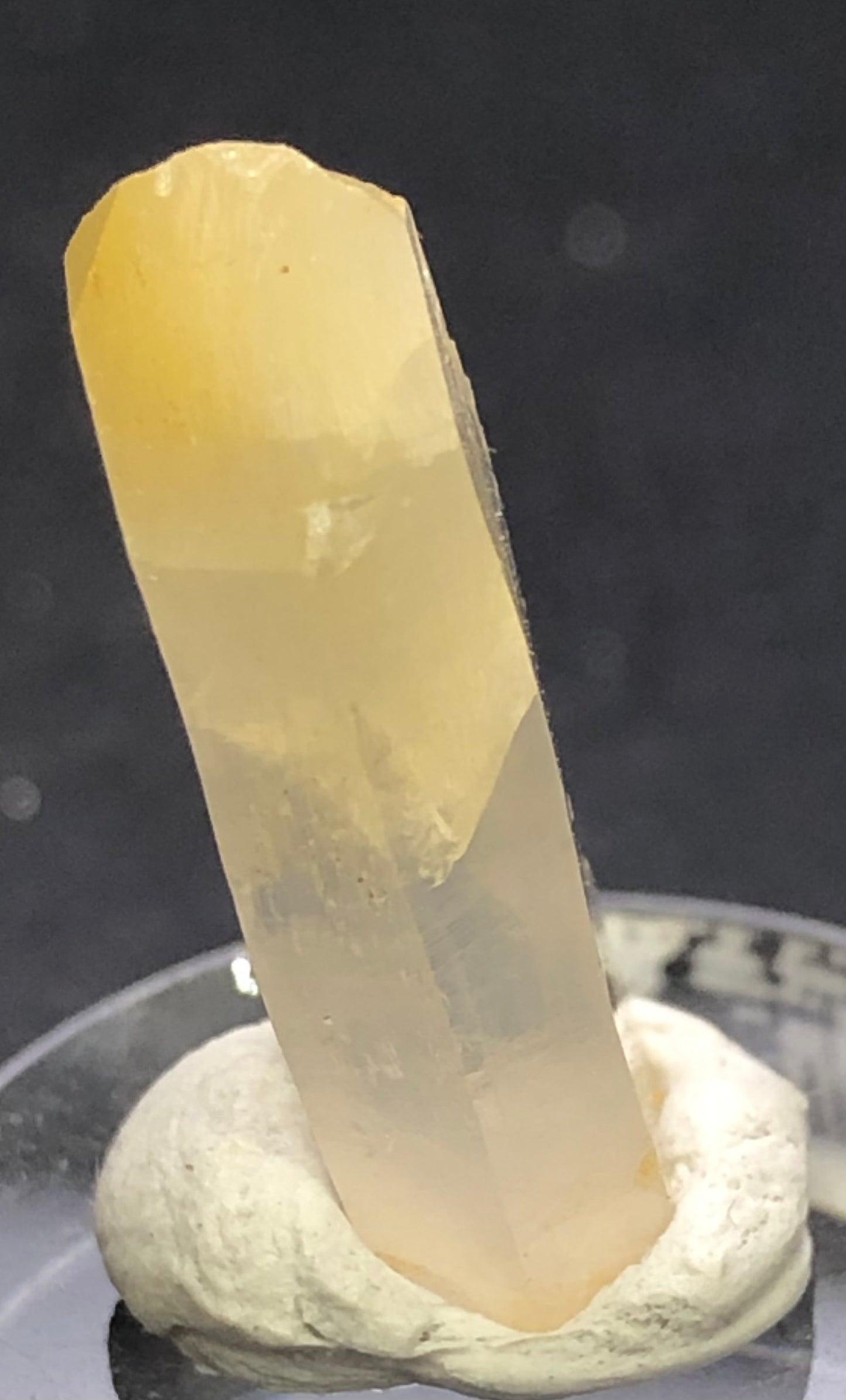 The Crystalary's AUCTION: Quartz with Halloysite features a tall, translucent yellow crystal from Cabiche, Quípama, Colombia. It stands on a soft white base with smooth surfaces and sharp edges that catch the light beautifully against a dark backdrop.