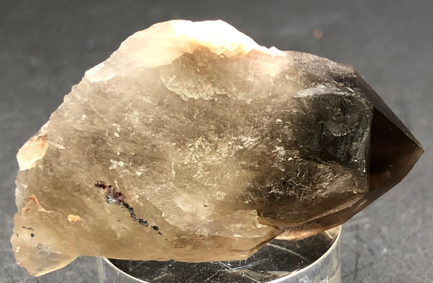 AUCTION- Smoky Quartz- Lake George, Park County, Colorado, USA