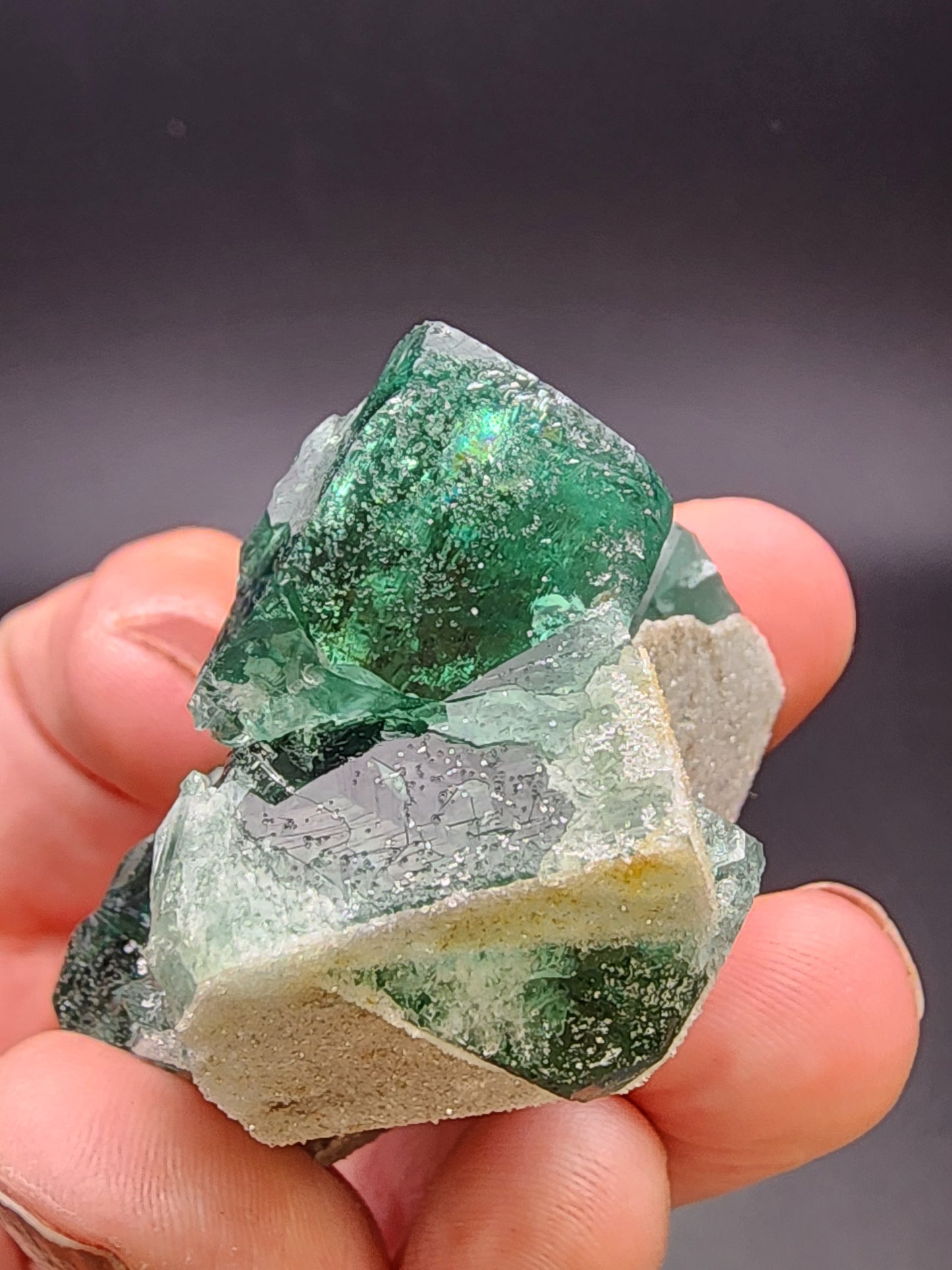 A hand holding a cluster of emerald green Fluorite- Druzy Dreams Pocket from the Rogerley Mine, Frosterley, Weardale, Co. Durham, England. The crystals have a vibrant hue with a few inclusions, sitting on a beige rocky matrix. Under UV fluorescence, they exhibit stunning colors. The background is solid black, highlighting the contrast and details of this exquisite fluorite specimen by The Crystalary.