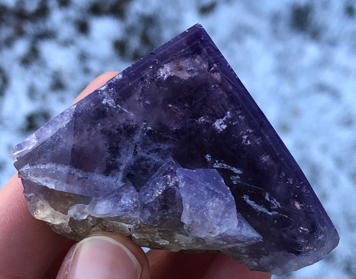 A hand holds The Crystalary's AUCTION-Fluorite from Cromwell Pocket, Greenlaws Mine, beautifully showcasing its translucent purple shades. The blurred background enhances its texture while daylight reveals enchanting color changes across the facets.