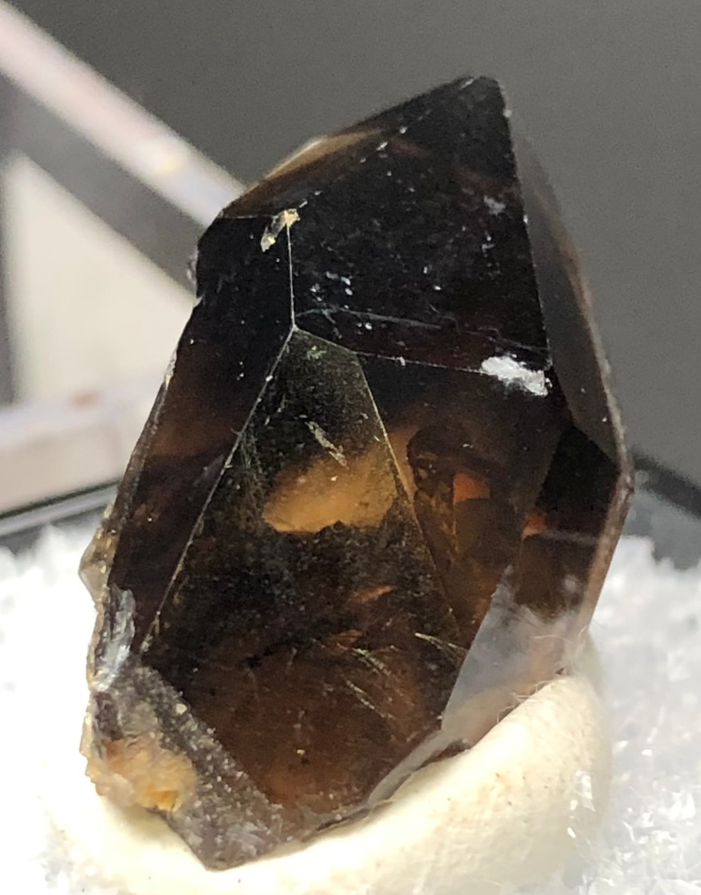 Close-up of a dark, translucent crystal from The Crystalary's AUCTION- Smoky Quartz collection. This exquisite piece from Mount Malosa, Zomba in Malawi features sharp edges and is mounted on a white base. It showcases an array of brown and dark hues with reflective surfaces, highlighting its natural imperfections and polished appearance.