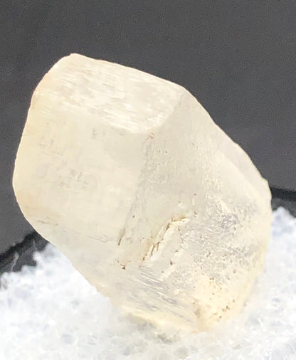 A close-up of the AUCTION- Selenite from Willow Creek, Nanton, Alberta, Canada by The Crystalary showcases its glassy transparency and off-white hue. Displayed against a black background, its hexagonal mineral form rests on a textured white surface, emphasizing its delicate beauty.