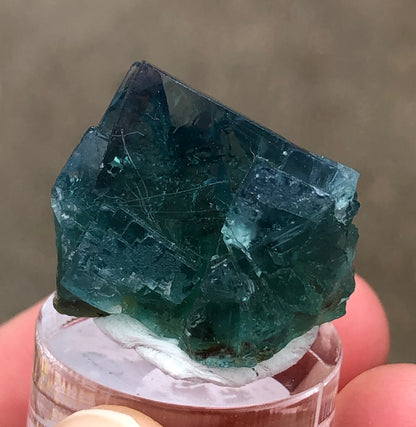 AUCTION- Fluorite- 50 Year Pocket, Rogerly Quarry, Stanhope, County Durham, England