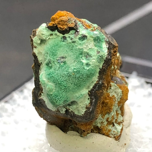 AUCTION- Rosasite- Durango, Mapimi, Mexico